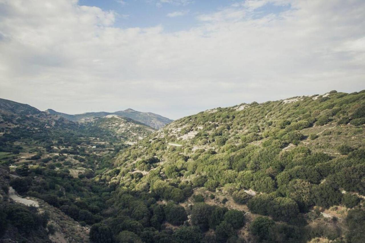 Traditional Inn Pirethron Aperathos Luaran gambar